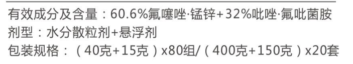 靚無(wú)雙組合
