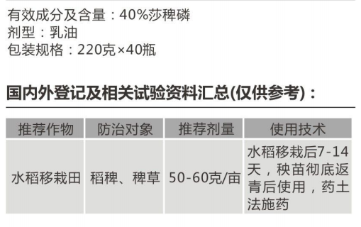愛(ài)谷盈